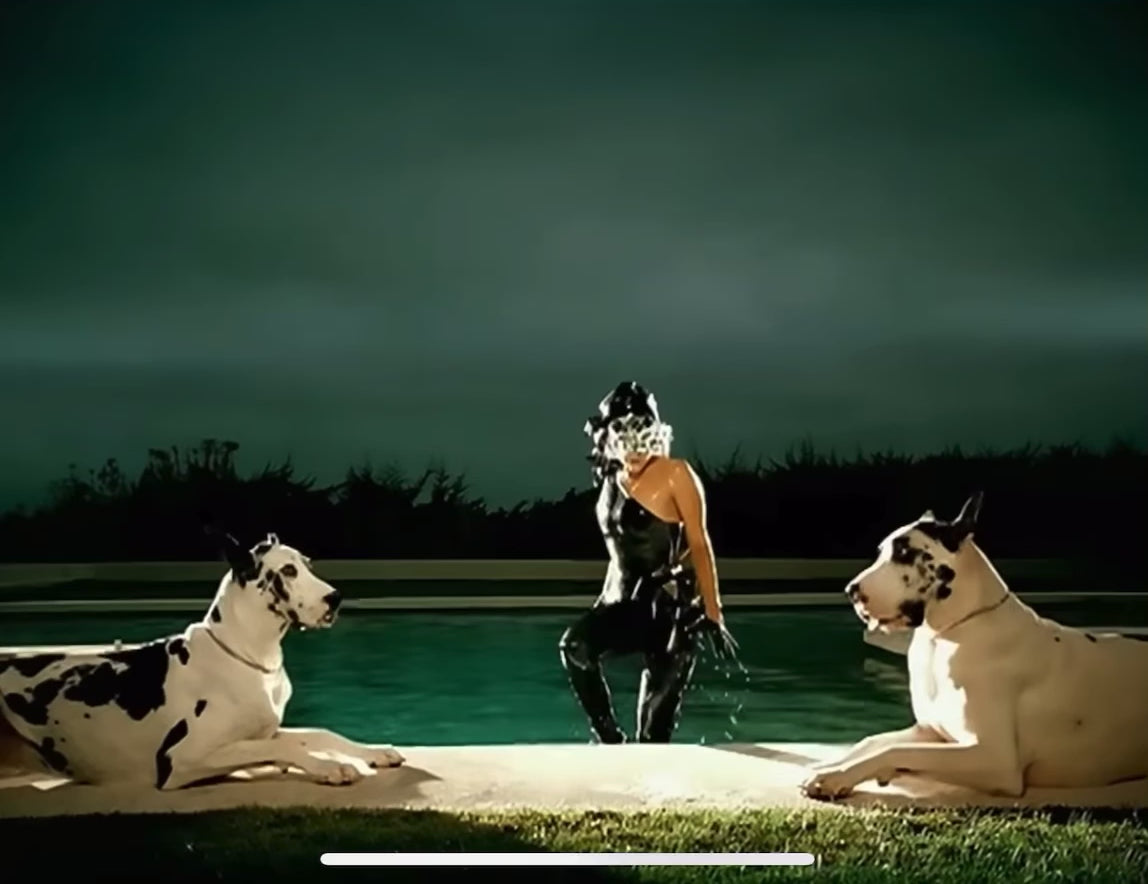 Lady Gaga and Ines Leather Gloves in Pokerface video music